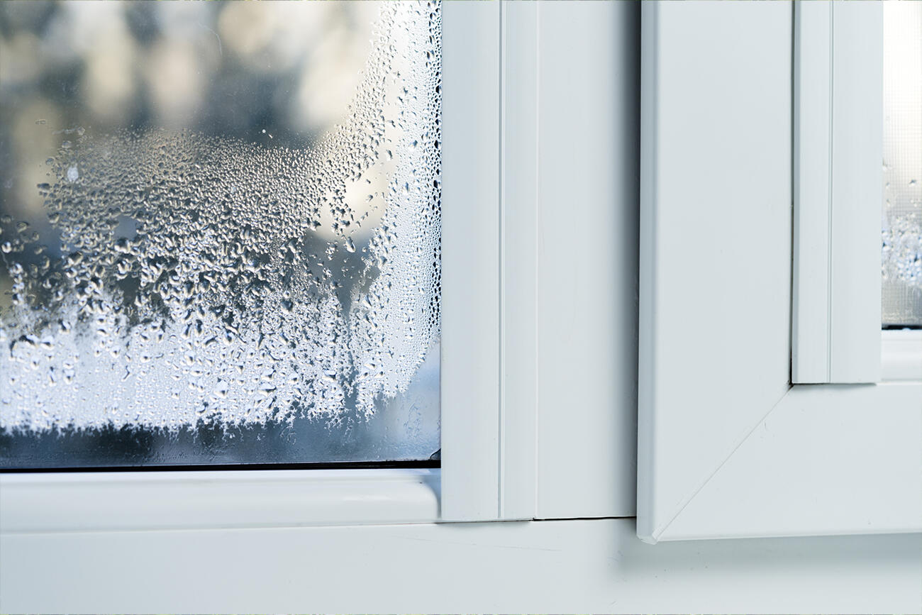 Kondenswasser am Fenster: Was können Sie dagegen tun?